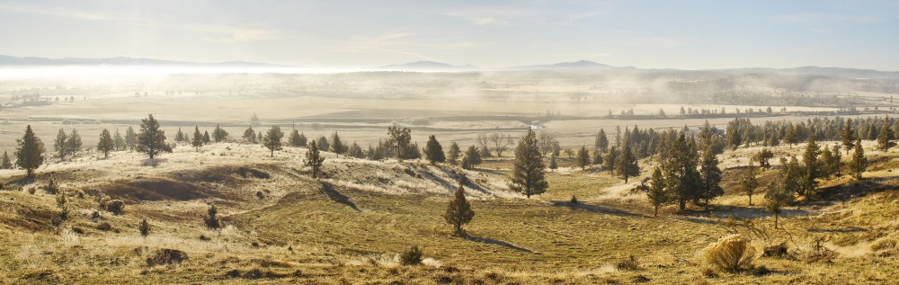 3079476463_e9a7e2131d_o