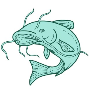 0-catfish.jpg
